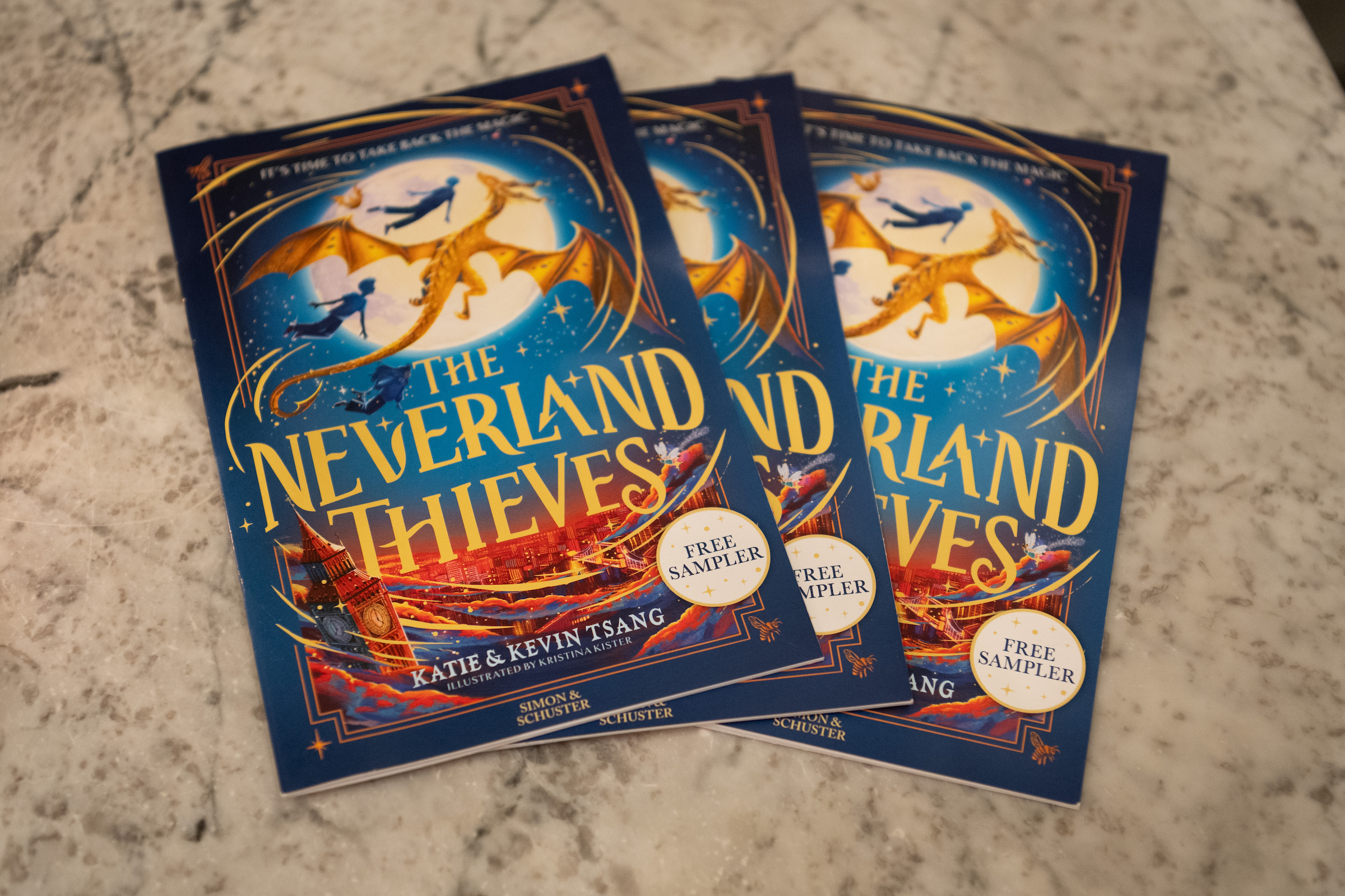 The Neverland Thieves book